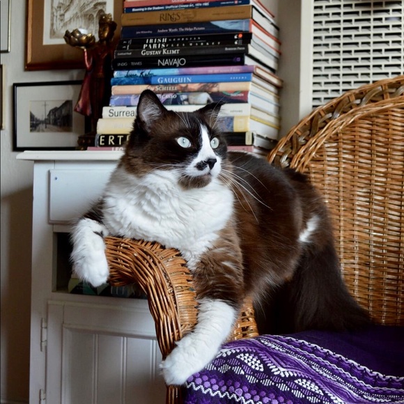 Meet your Posher, Cristina - Picture 13 of 16